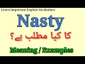 Nasty Meaning in Urdu