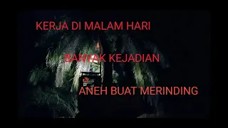 replanting kelapa sawit sudah belasan meter di malam hari