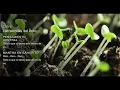 Download Lagu Deepak Chopra Día 6 Reto de Meditación Creando Abundancia