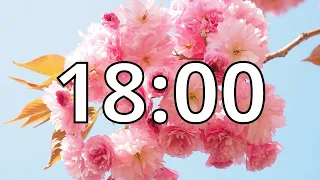 18 Minutes Timer with Music Cherry Blossom Timer