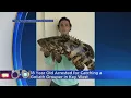 18-Year-Old Arrested For Catching Goliath Grouper In Key West