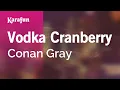 Download Lagu Karaoke Vodka Cranberry - Conan Gray *