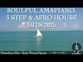Download Lagu 3 STEP | AMAPIANO | AFRO HOUSE MIX - 🎶MARCH 2025 HITS🎶