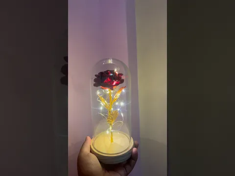 Perfect pang Regalo