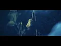 The Number Twelve Looks Like You - Glow In The Dark Skin (Official Music Video)