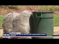 Neighbors fed up with slow yard waste pickup
