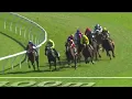 Download Lagu EL CASTELLO wins the G1 Spring Champion Stakes