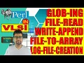 Mastering File Globbing and Logging in PERL A Comprehensive Guide