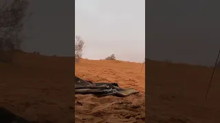 ذعذع الغربي 