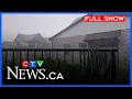Heavy storm hammers Claresholm Alta CTV Your Morning Calgary for August 12 2026