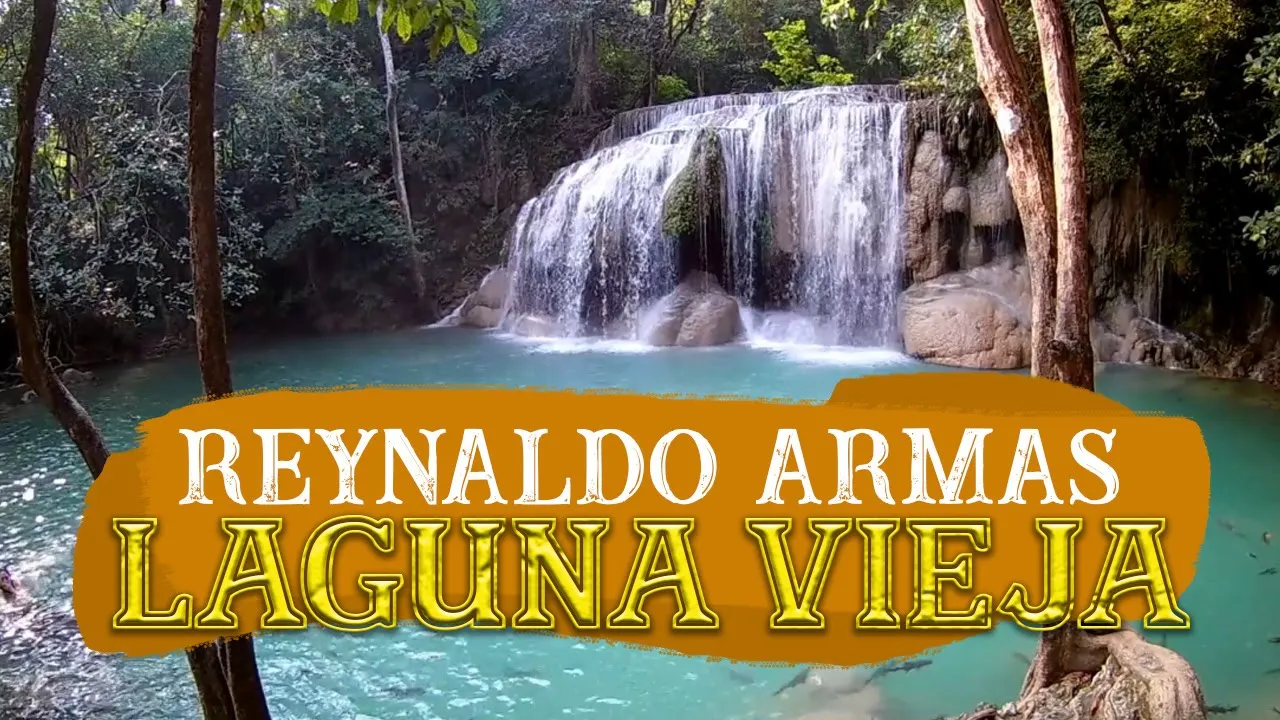Laguna Vieja - Reynaldo Armas | Video Lyric | Música Llanera Laguna Vieja - Reynaldo Armas | Video Lyric | Música Llanera