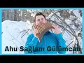 Download Lagu Ahu Sağlam Gülümcan music from the soul- Ed Urich  Panflute -Panflöte 4K