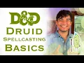 Druid Spellcasting Basics Dungeons Dragons