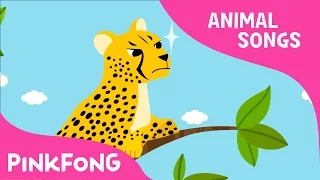 Cheetah Bang Bang Cheetah Animal Songs Pinkfong Songs For Children  Cheetah Bang Bang Cheetah Animal Songs Pinkfong Songs For Children
