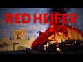 Jesus, the Red Heifer Sacrifice, and the Second Coming