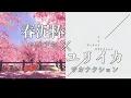 Spring Thief / Yorushika  × Eureka / Sakanaction 【Mashup】
