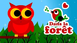 Dans La Forêt Lointaine Comptines Pour Bébé 
