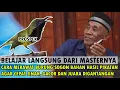 Download Lagu CARA PERAWATAN BURUNG SOGON BAHAN HASIL PIKATAN AGAR CEPAT JINAK, GACOR DAN JUARA DI GANTANGAN
