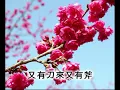 桃花運 ~ 潘秀瓊