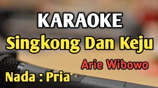 Download SINGKONG DAN KEJU - KARAOKE || NADA PRIA COWOK || Disco Music || Arie Wibowo || Live Keyboard MP3