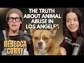 Rebecca Corry The Truth About Animal Abuse in Los Angeles Ep 53