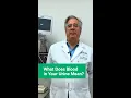 Download Lagu What Does Blood in Urine Mean?