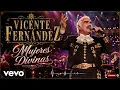 Vicente Fernández - Mujeres Divinas ( En Vivo )