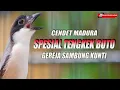 Download Lagu CENDET MADURA GACOR MATERI TENGKEK BUTO SAMBUNG GEREJA BABLAS KUNTI MENJERITTT