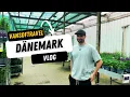 Download Lagu Unser Alltag in Dänemark 🇩🇰 | Auswandern erleben