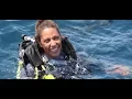 Download Lagu PADI Learn to Scuba Dive