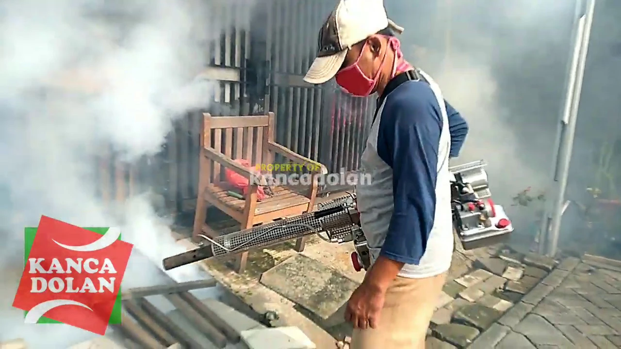 Fogging Sarang Nyamuk Fogging Sarang Nyamuk