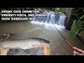 Mancing Dapat Ikan Lele Besar Bikin Saya Kualahan broo...
