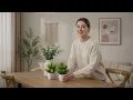 Transform Your Room Under Budget Aesthetic Mini Plants Set of 8