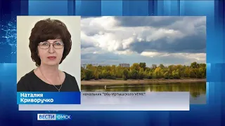Омским дачникам посоветовали позаботиться об урожае из-за заморозков