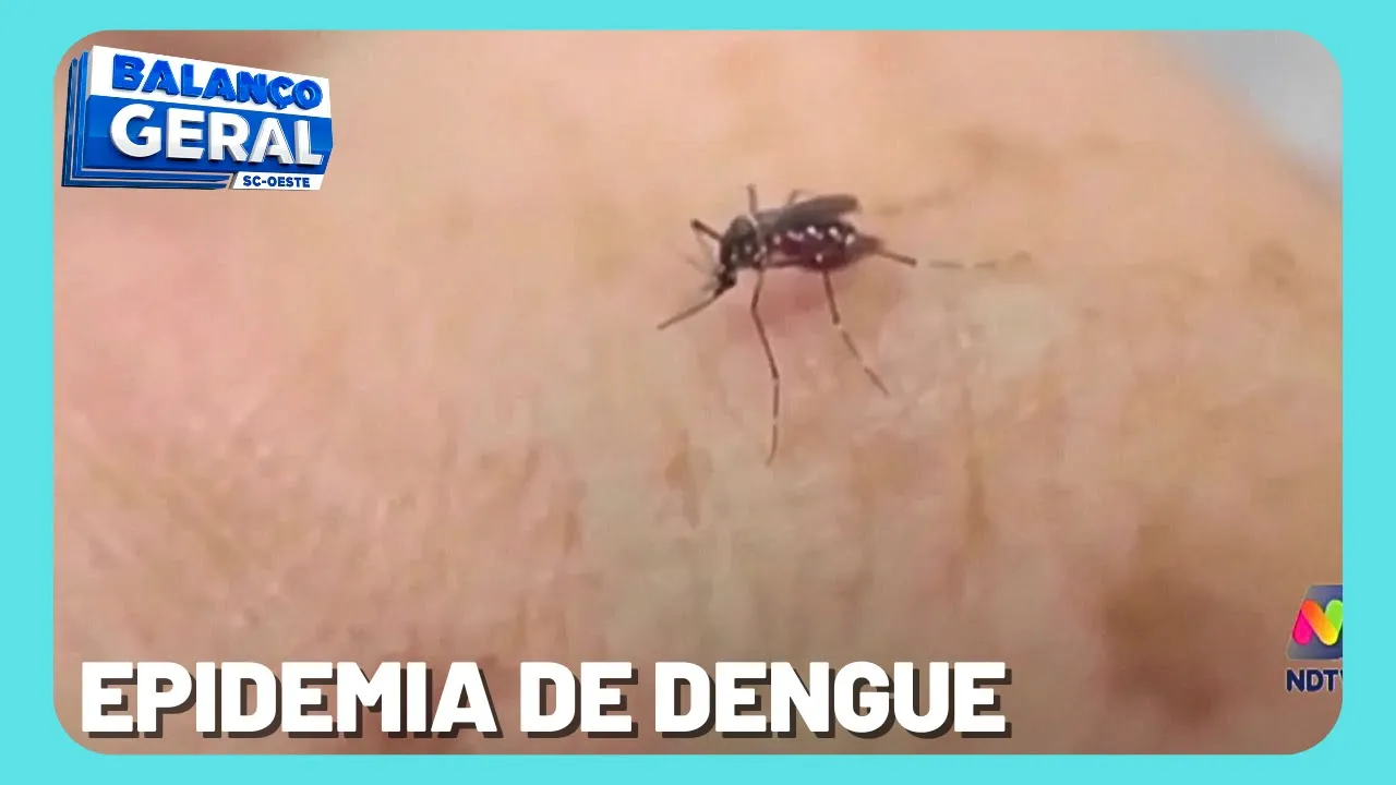 7 municípios atingiram o nível de Epidemia de Dengue no Oeste Catarinense