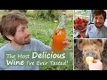 Download Lagu How to Make Strawberry Wine - Easy Recipe For Beginners