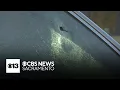 What we know about a shooting that closed Sacramento freeways