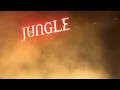 Jungle new song “Let’s Go Back” Live at Vina Robles