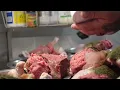Cane Corso raw feeding