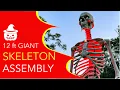 Halloween 2023 Assembling the 12 ft GIANT Skeleton From Home Depot
