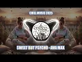 Download Lagu SWEET BUT PSYCHO - AVA MAX (SAPILAN REMIX) CHILL MUSIC 2025