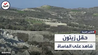 وكأنه مشهد من الخيال العلمي   ماذا فعل الزلزال بحقل زيتون دندنها