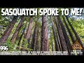 Download Lagu Logger Encounters Sasquatch and Realizes They Are Intelligent | Archives | Bigfoot Society 996 MP3