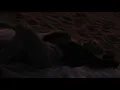 Joel Corry, David Guetta, Raye - Bed