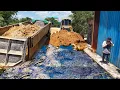 Download Lagu Incredible Landslide HYUNDAI Dump Truck 25TON Unable to Drive Up Hill \u0026 Stuck Help By Expert DOZER