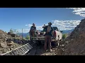 Timbering the Golden Griffin the golden griffin s1e4