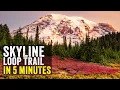 The BEST Trail in Mount Rainier National Park Skyline Loop Trail Guide