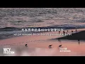 Dior大颖 - 有天会再相见 [如果想我了 就抬头看看 那一片蓝天] 【動態歌詞/pīn yīn gē cí】