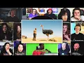 Ostrich Chase Scene | Jumanji The Next Level Reaction Mashup