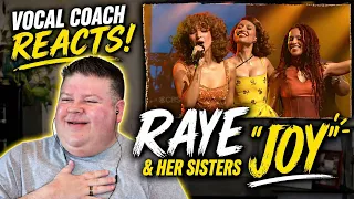 Vocal Coach Reacts to Raye - Joy